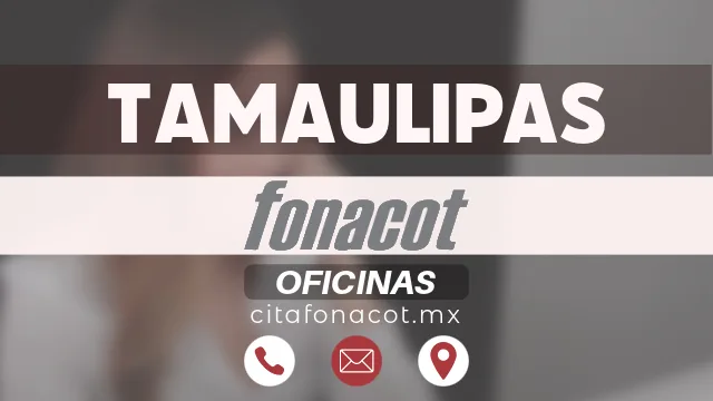 Fonacot Tamaulipas Direcci N Horario Y Tel Fono